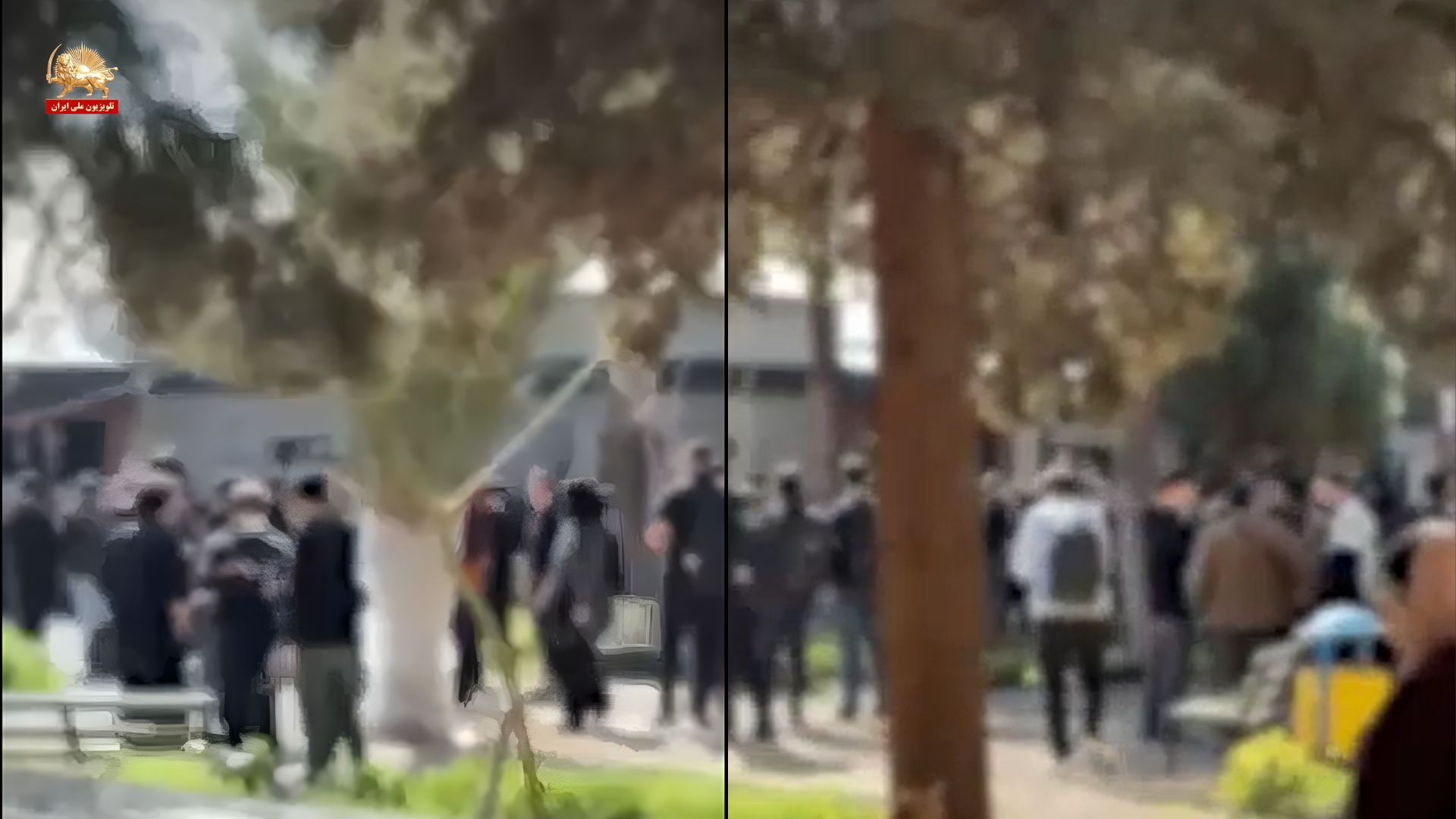 تجمع اعتراضی دانشجویان دانشگاه شریف؛ درگیری با وحوش مزدور بسیجی